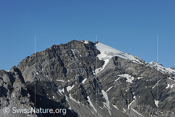 Foto: Gemsfairenstock
Gletscher: Lang Firn