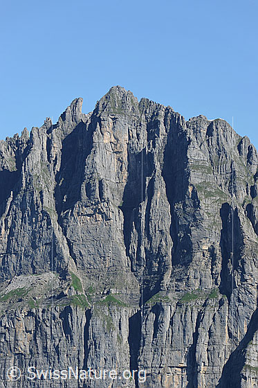 Foto: Jegerstöck.
Gestufte Felswand mit Grasbändern und Pfeilern.