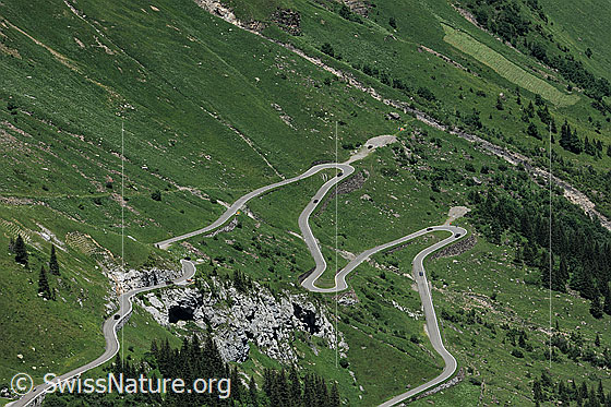 Foto: Klausenpass.
Die Kurven der Passstrasse schlängeln sich durch die günen Alpweiden.