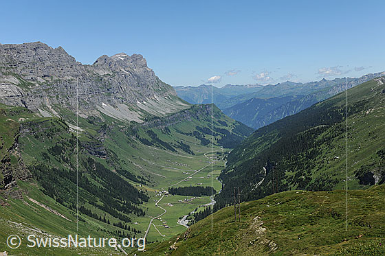 Foto: Ortstock und Urnerboden.
Sommerliche Berglandschaft mit Blick auf die grünen Alpweiden des Hochtals Urnerboden.