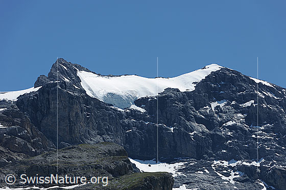 Foto: Chammliberg und Chammlibergfirn.
Das Gletscher liegt über den Felswänden und gestuften Felsen des Chammlibergs.