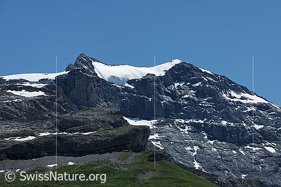 Foto: Chammliberg und Chammlibergfirn.
Das Gletscher liegt über den Felswänden und Felsstufen des Chammlibergs.