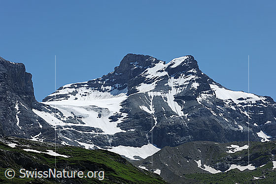 Foto: Chli und Gross Schärhorn
Gletscher: Griessfirn