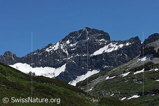 Foto: Bocktschingel, Glarner Alpen.