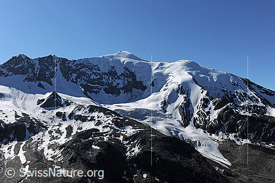 Foto: Weissmies und Triftgletscher von NW.

.