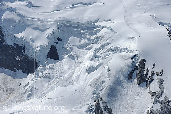 Foto: Triftgletscher mit Abbruch und Spur der Alpninisten.
Der abbruchgefährdete Bereich liegt links des markanten dreieckigen Lochs im linken Bildteil.

.