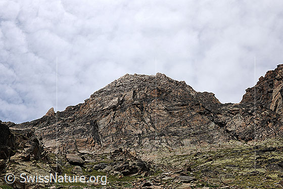 Foto: Jegihorn von Süden.
Blick in die Felswand des Kletterbergs.
Der Himmel ist mit Föhnwolken bedeckt.