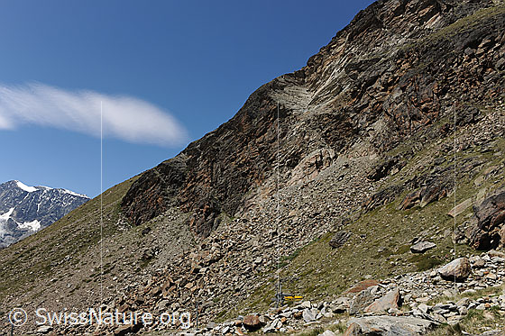 Foto: Felsausbruch am Jegihorn.