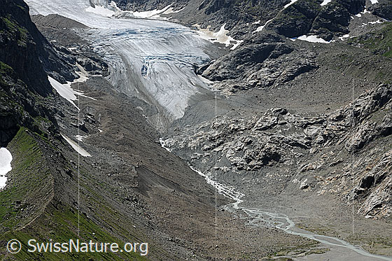 Foto: Zunge und Vorfeld des Steingletschers mit Gletscherbach. Die Gletscherzunge ist abgeflacht. Im Vordergrund ist die Seitenmoräne zu sehen.
