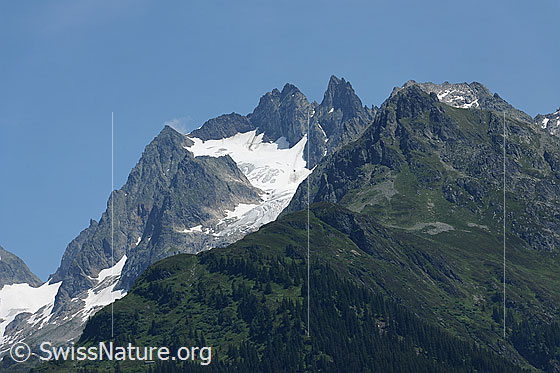 Foto: Uratstock, Fünffingerstöck und Uratgletscher. Im Vordergrund grüne Berghänge und Wald.