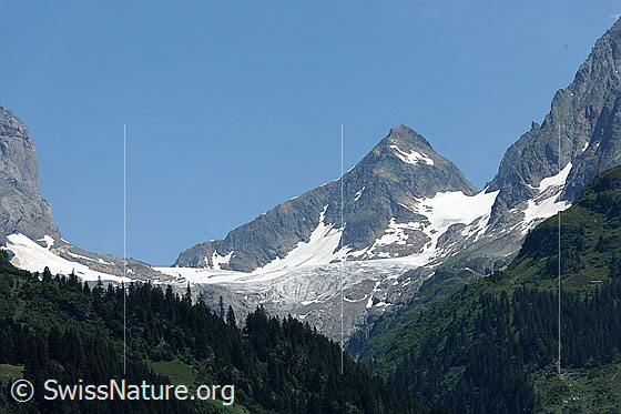 Foto: Grassen und Wendengletscher, umrahmt von Felsgraten, grünen Alpweiden und Wäldern.