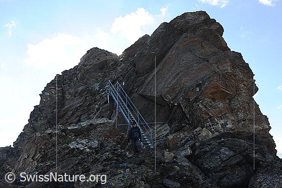Foto: Gesicherter Bergweg am Schilthorn. Eine Steilstufe am Grat wurde mit einer Leiter ausgerüstet. Auf dem gesicherten Weg ist eine Wanderin unterwegs.