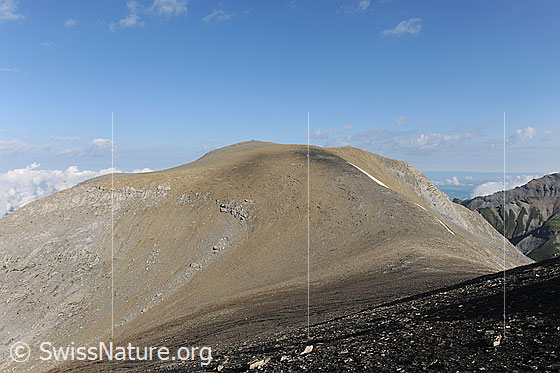 Foto: Chilchflue, Berner Oberland. Ansicht von ihrer lieblichen Seite (aus Süden). Der Berg wirkt karg und weitläufig. Im Vordergrund liegt feines Geröll.