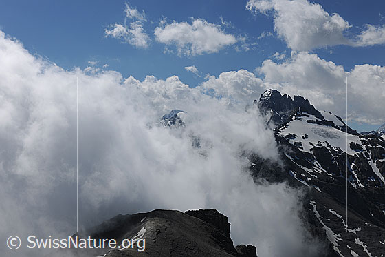 Foto: Wolkenstimmung am Hundshorn. Gspaltenhorn und Bütlasse sind stimmungsvoll mit Cumuluswolken umgeben. Die an der Hundsflue (Vordergrund) aufsteigenden Wolken verdecken die Sicht auf weitere Alpengipfel.