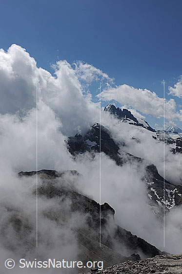 Foto: Wolkenstimmung im Gebirge. In den Bergen haben sich mächtige Quellwolken gebildet, welche an den Bergflanken aufsteigen und die Gipfel ganz einzuhüllen drohen. Im Horizont ist das Gspaltenhorn erkennbar.