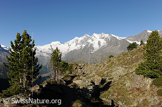 Foto: Mischabel vom Kreuzboden.