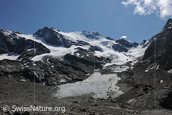 Foto: Fletschhorn und Grüebugletscher.