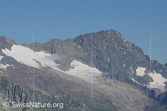 Foto: Steinlauihorn, Ärlengletscher und Ritzlihorn.

