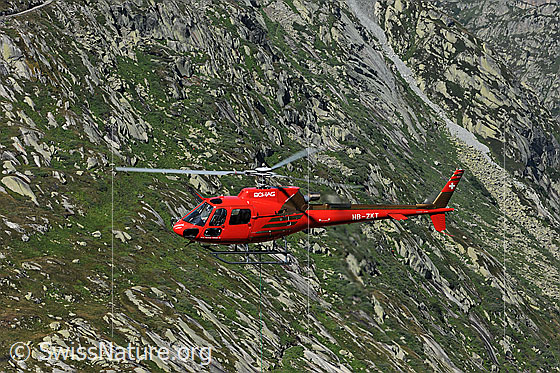 Foto: Helikopter der im Flug.