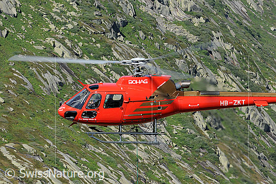 Foto: Helikopter im Schwebeflug.