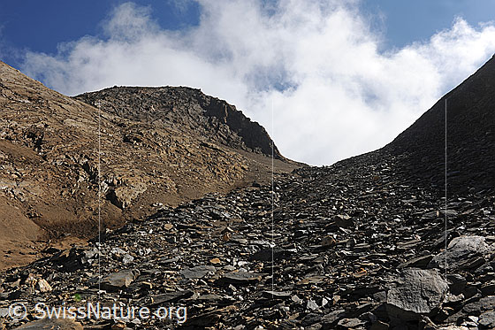 Foto: Felskopf und Geröllfeld. Über der kargen Berglandschaft sind Quellwolken zu sehen.