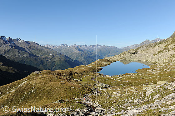 Foto: Lutersee umgeben von Alpweiden mit Ausbilck in die Berglandschaft um Andermatt. Links im Bild ist der Gemsstock zu sehen. Der See befindet sich im Gebiet, in dem die Erweiterung des Skigebiets Andermatt - Sedrun geplant ist (Projekt Sawiris).