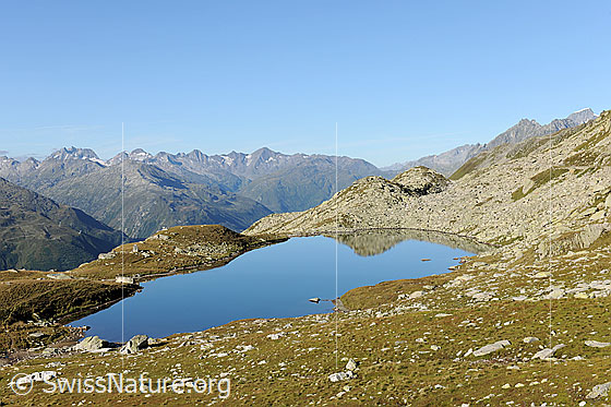 Foto: Lutersee, Andermatt. Der blaue See ist von Alpweiden umgeben. Gipfel im Hintergrund: Pizzo Pesciora, Pizzo Rotondo, Leckihorn, Muttenhörner und vorgelagert das Winterhorn.