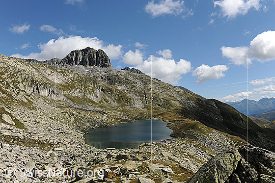 Foto: Lutersee und Schneehüenerstock. Lockere Quellwolken zieren den blauen Himmel. Der Bergsee ist von Geröll und Alpweiden umgeben.
