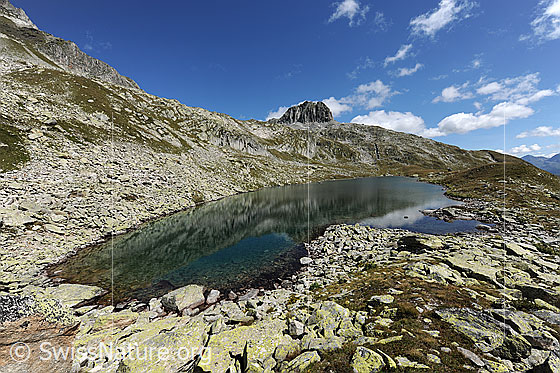 Foto: Spiegelung im Lutersee, Andermatt. Die Berglandschaft mit Schneehüenerstock spiegelt sich im klaren Wasser des Bergsees. Am Ufer liegen Felsblöcke und Geröll. Am blauen Himmel sind wenige lockere Quellwolken zu sehen. Der See befindet sich im Gebiet, in dem die Erweiterung des Skigebiets Andermatt - Sedrun geplant ist (Projekt Sawiris).