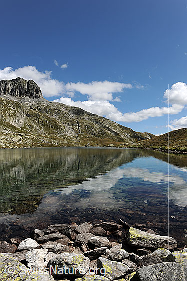 Foto: Schneehüenerstock mit Spiegelung im klaren Wasser des Bergsees (Lutersee, Andermatt). Lockere Quellwolken zieren den blauen Himmel. Am Ufer befinden sich Geröll und Steine.