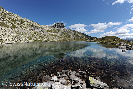 Foto: Spiegelung im Bergsee (Lutersee, Andermatt). Blick über die Steine am Ufer und die Spiegelung in der ruhigen Wasserfläche zum Schneehüenerstock.