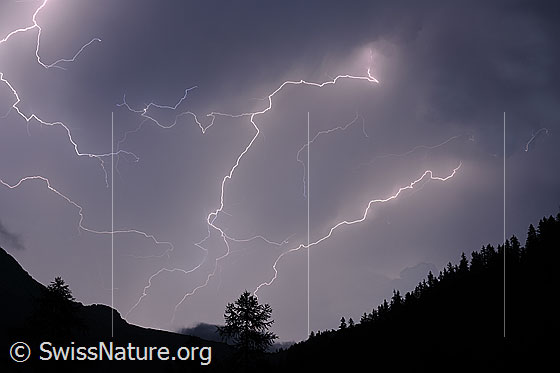 Foto: Gewitter mit zahlreichen Blitzen.
