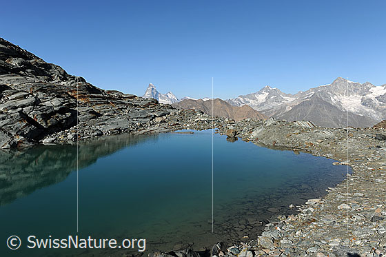 Foto: Alphubelsee und Matterhorn. 
Bergkette zwischen blauer Wasserfläche und wolkenlos blauem Himmel.
