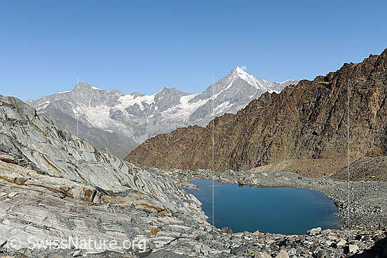 Foto: Gletscherschliff und blauer Bergsee (Alphubelsee). Die geschliffenen Felsen weisen Strukturen auf. Im Hintergrund sind Zinalrothorn, Weisshorn und der Rotgrat zu sehen.