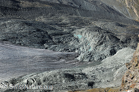 Foto: Zunge und Vorfeld des Mellichgletschers. Die geschliffenen Felsenbuckel im Gletschervorfeld erinnern an eine Mondlandschaft. Im Hintergrund ist die Seitenmoräne erkennbar.