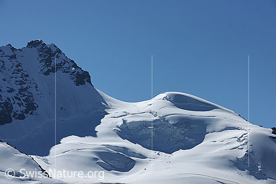Foto: Rimpfischhorn, Rimpfischsattel und Mellichgletscher. Der Gletscherabbruch liegt im Schatten.