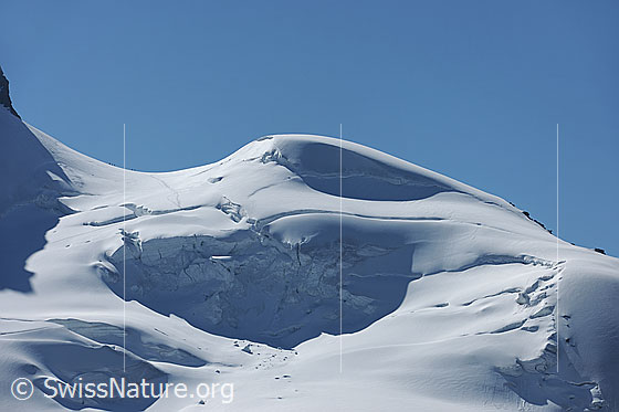 Foto: Rimpfischsattel und Mellichgletscher. 
Geschwungene, weisse Geländeformen im Licht und ein Gletscherabbruch im Schatten.