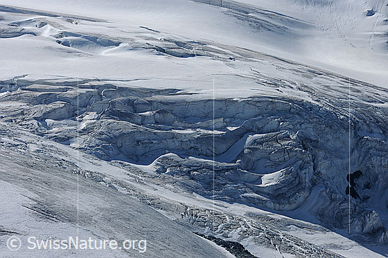Foto: Kleiner Abbruch im Mellichgletscher.