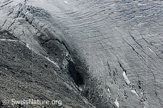 Foto: Mellichgletscher.
Ausgeaperter Gletscher und Gletscherrand.