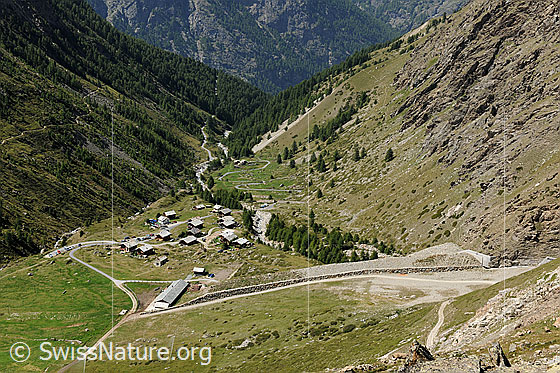 Foto: Täschalp mit Schutzwall gegen Naturgefahren (Lawinen und Murgang).