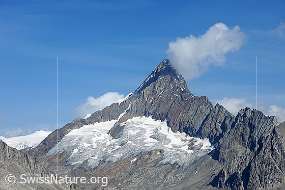 Foto: Finsteraarhorn vom Risihorn.