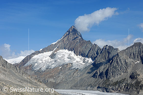 Foto: Finsteraarhorn vom Risihorn