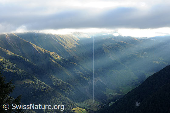 Foto: Lichtstimmung im Binntal. Sonnenstrahlen scheinen aus der Wolkendecke in das Bergtal. An den Berghängen sind Schutzwälder zu sehen.