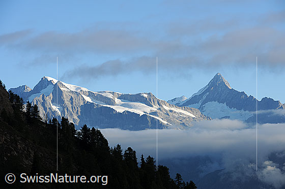 Foto: Gross Wannenhorn und Finsteraarhorn aus der Region Breithorn (Binntal)