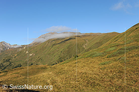 Foto: Blick von oberhalb Saflischmatta Richtung Bättlihorn.
Im Bereich der Nebelschwade wird das westliche Feld von Grengiols Solar gebaut.