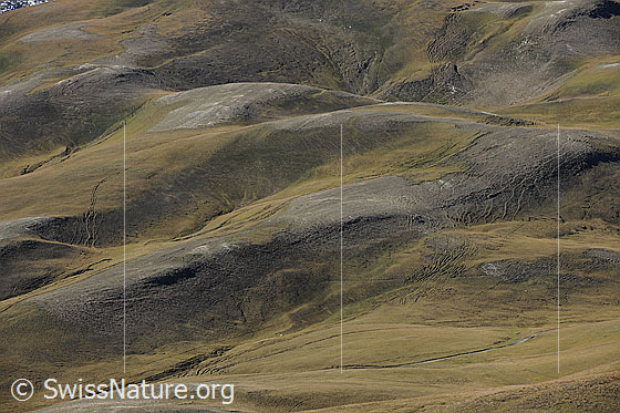 Foto: Herbstliche Alp Furggerchäller.
Ca. im unteren Bildviertel wird das östliche Feld von Grengiols Solar gebaut.