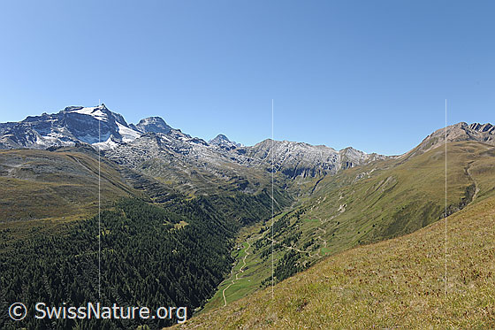Foto: Blick über das Saflischtal Richtung Saflischpass.
Zu sehen ist u.a. die Alpstrasse zur Alp Furggerchäller.
Vermutlich werden in diese Alpstrasse die Stromkabel verlegt, durch welche die von Grengiols Solar erzeugte Energie nach Heiligkreuz abgeleitet wird.