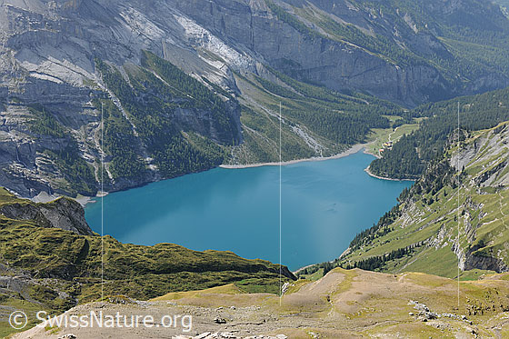 Foto: Oeschinensee. Der blaue Bergsee liegt in einem Talkessel umgeben von Alpweiden, Bergwald und steilen Hängen.
