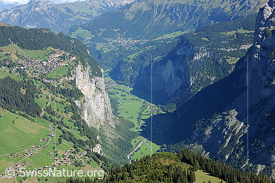 Foto: U-Tal: Lauterbrunnental mit Gimmelwald, Mürren und Wengen. Tiefblick auf die sommerliche Berglandschaft und in den grünen Talboden.