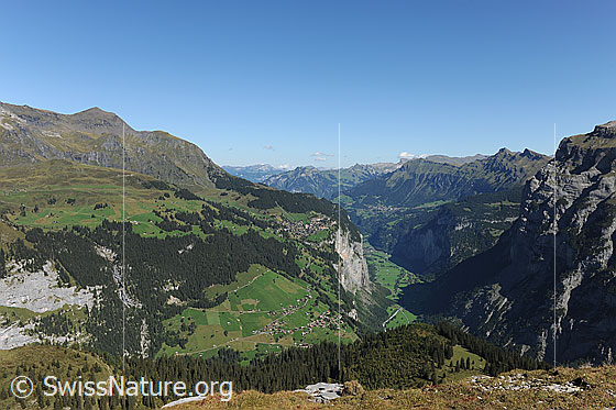 Foto: U-Tal. Lauterbrunnental mit Gimmelwald, Mürren und Wengen. Tiefblick auf die sommerliche Berglandschaft und in den grünen Talboden.